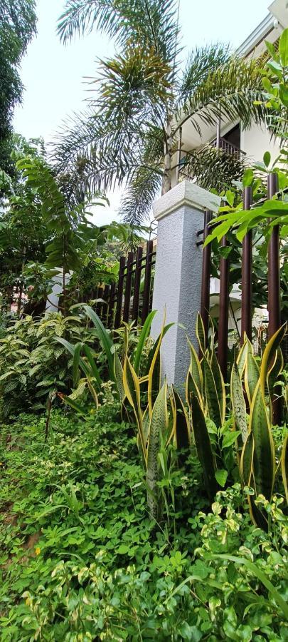 Layang Layang Home Эль-Нидо Экстерьер фото